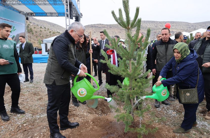  Milli Ağaçlandırma Günü’nde Fidanlar Toprakla Buluşturuldu