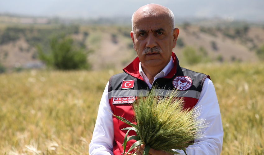  Bakan KİRİŞCİ 21 milyon ton buğday rekoltesi beklendiğini açıkladı