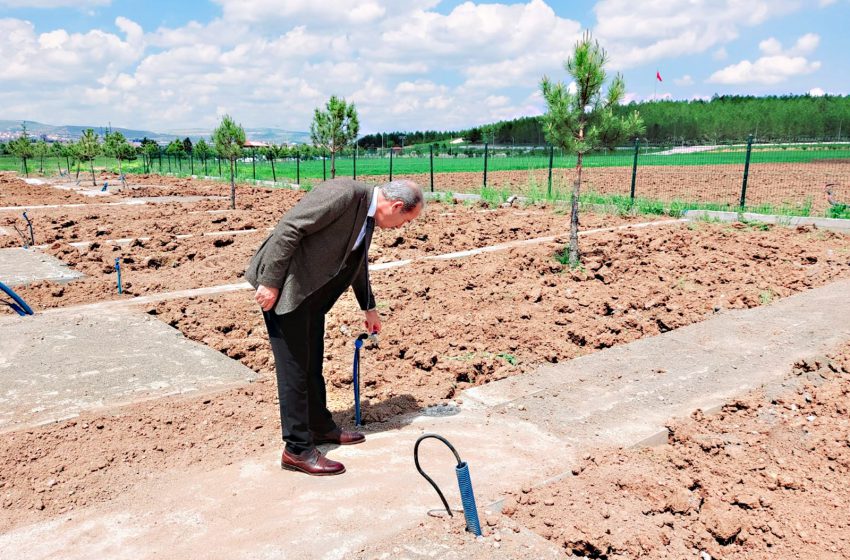  Cumhuriyet Üniversitesinde Uğraşı Bahçeleri Genişletiliyor
