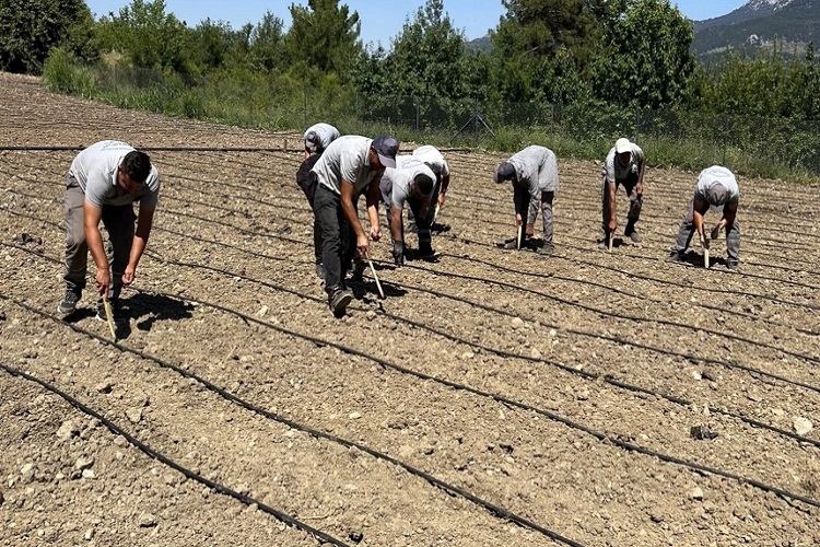  Palandöken, “Köye dönmek isteyenlere cazip imkanlar verilmeli”