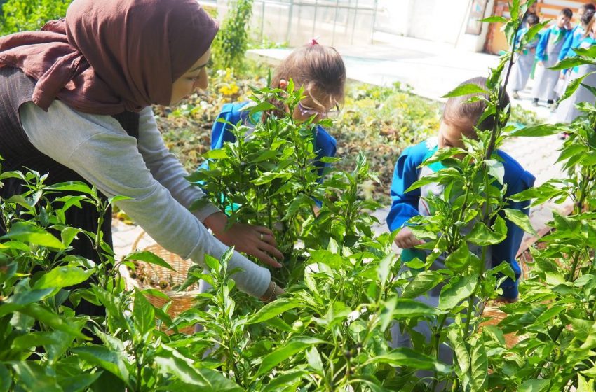  Türkiye’nin ilk AGRO kütüphanesi uluslararası yeşil kütüphane ödülü için ilk 5’te