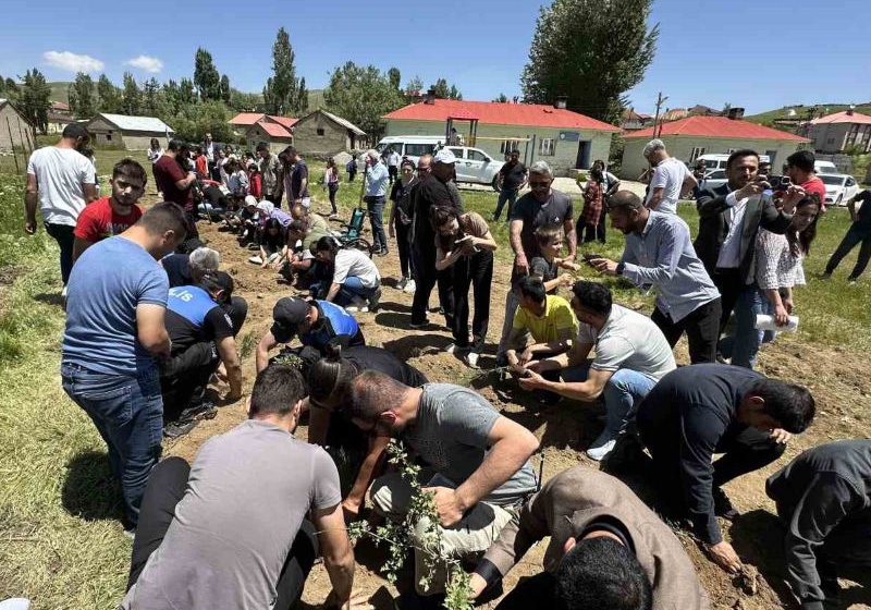  “Yeşil Yarınlar İçin Engelleri Aşalım” Projesi Çerçevesinde Fidan Dikimi Yapıldı