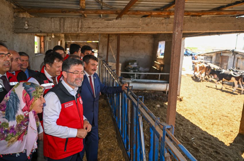  Bakan Yumaklı, Ankara’da hayvancılık işletmesini ziyaret etti