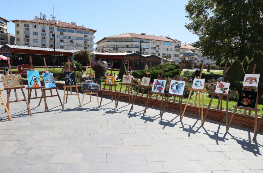  Yeşilay Sivas Şubesi tarafından şehir meydanında stant ve sergi açıldı