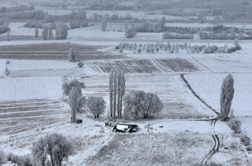  Sivas’ta Sibirya soğukları, eksi 15 derece ile doğa sanata dönüştü