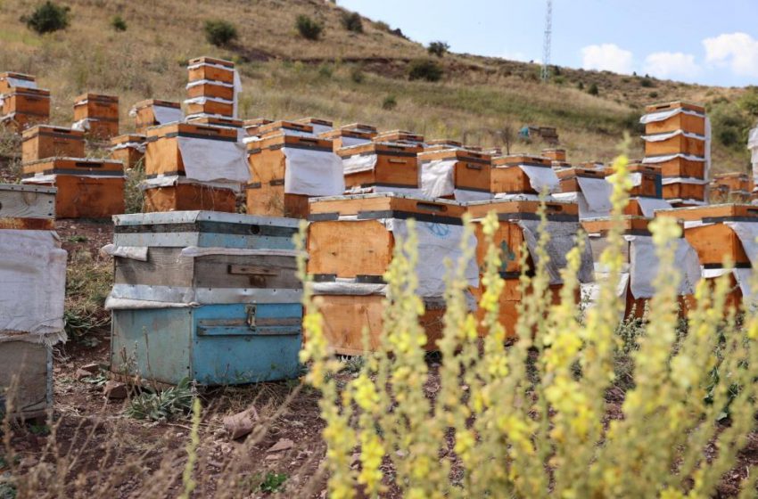  Arıcılar endişeli, baharın gecikmesi polen krizine neden olabilir