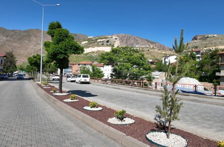 Divriği’de Karayolu Orta Refüjünde Peyzaj Düzenlemesi Tamamlandı
