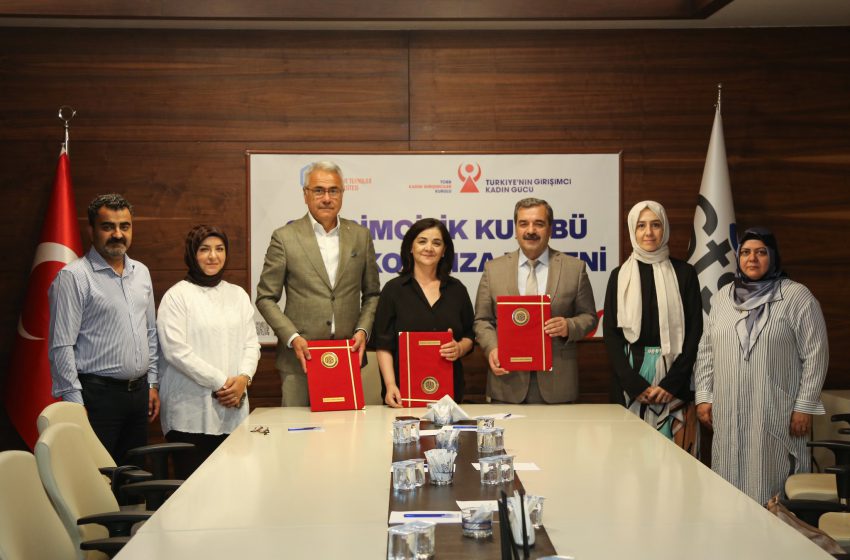  Girişimciliğin Kalbi Sivas’ta Atıyor: Kadın ve Gençler İçin Büyük Fırsat