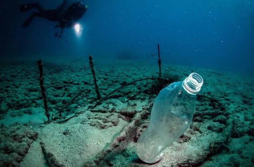  Türkiye’den Tarihi Adım: Tek Kullanımlık Plastikler İçin Yol Haritası Açıklandı