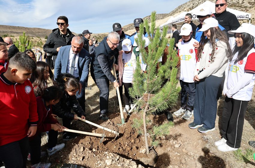  ÇOGEP Kapsamında Fidan Dikim Etkinliği Düzenlendi
