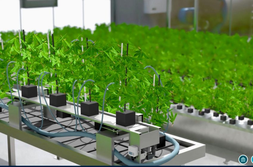  Cumhuriyet Üniversitesi’nden Hollanda’ya İhracat Yapacak Yapay Zeka Serası