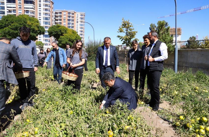  TÜBİTAK 4004 Projesi ile Ata Tohumları Geleceğe Taşınıyor