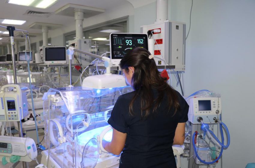  Küçük bedenleriyle büyük yaşam mücadelesi veriyorlar