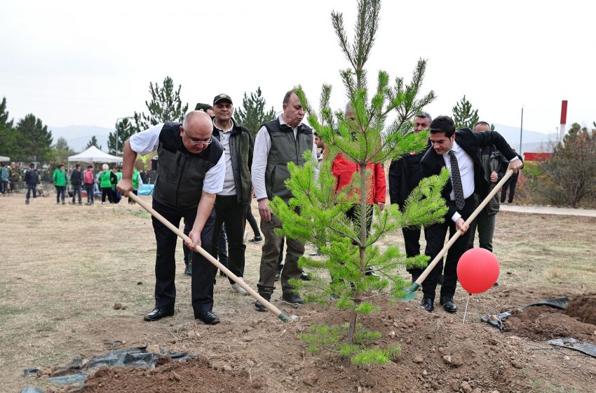  Milli Ağaçlandırma Günü’nde Sivas’a Yeşil Nefes