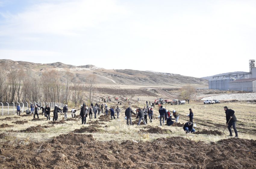  Sivas OSB, Yeşil ve Yaşanabilir Bir Sanayi İçin Adım Attı