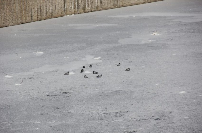  Eski kışlar geri geldi, Kızılırmak’ın yüzeyi kısmen dondu