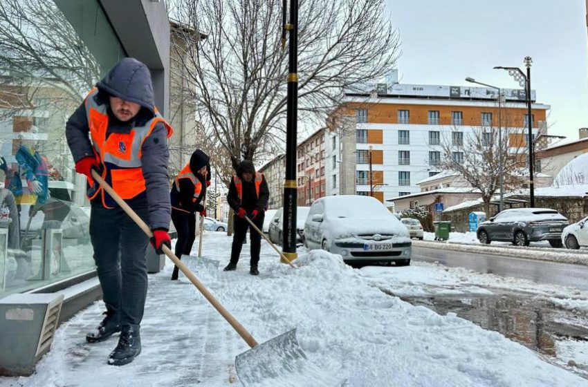  Sivas Belediyesi, 65 mahalleye eş zamanlı müdahale etti