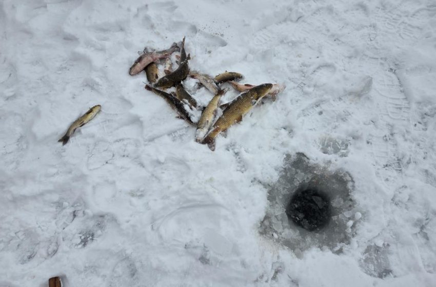  Türkiye’nin en uzun nehri dondu, üzerinde eskimo usülü balık avladılar