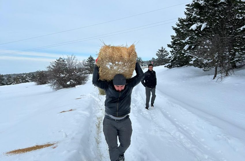  Üniversite Öğrencileri Doğaya Yem Bıraktı