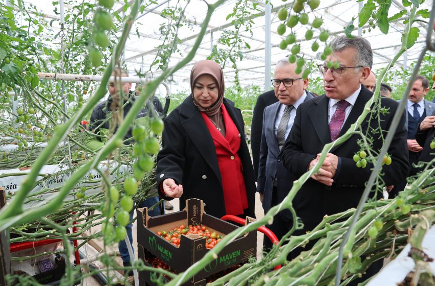  Vali Şimşek ve Protokolden Çevreci Sera ve Enerji Tesisi Ziyareti