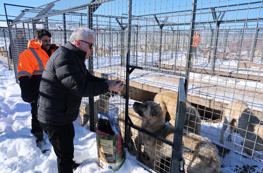  Vali Şimşek’ten Hayvan Bakım ve Rehabilitasyon Merkezine Ziyaret