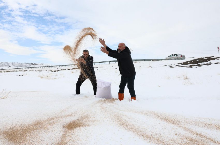  Zabıta Ekiplerinden Yaban Hayatına Kış Desteği