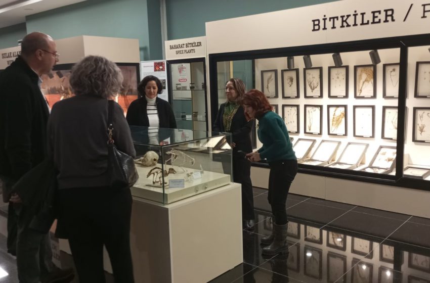  Doğa Tarihi Alanında Örnek Model: SCÜ Tabiat Tarihi Müzesi