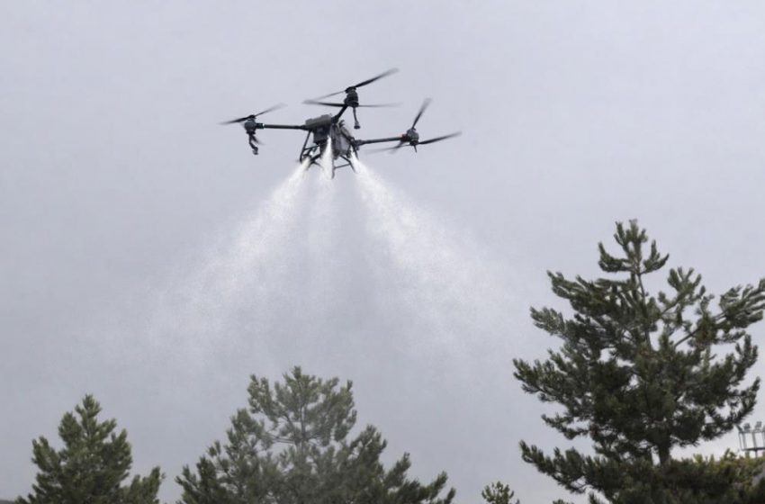  Sivas’ta keneye karşı havadan karadan mücadele