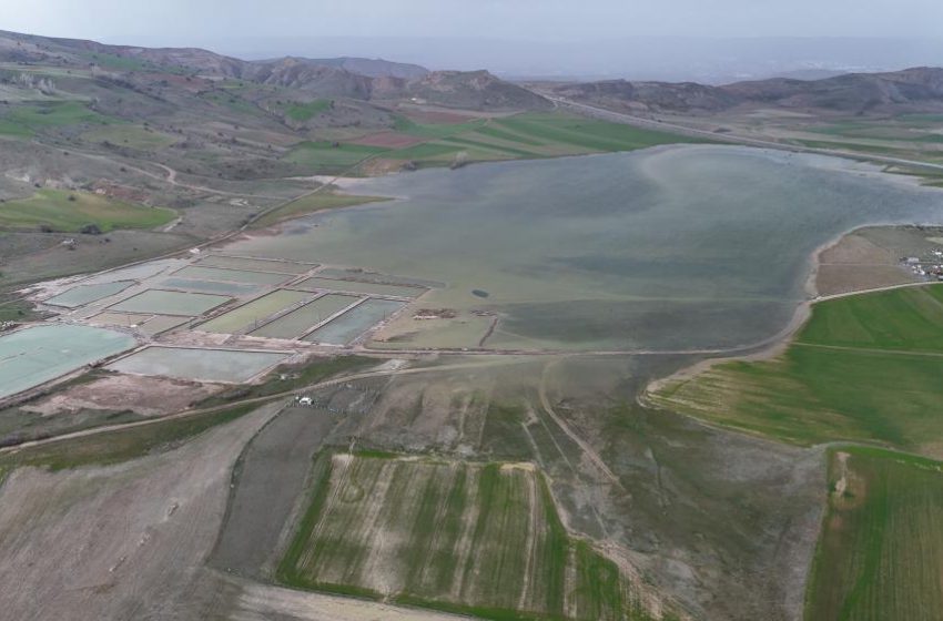  Göçmen kuşların uğrak mekanı, son yağışlarla doldu taştı