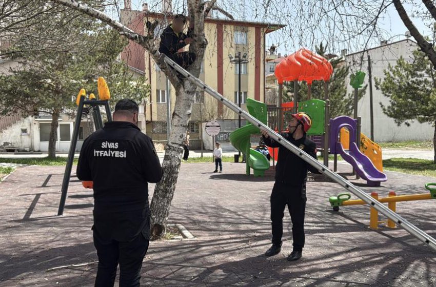  Topu almak için çıktığı ağaçtan inemeyen çocuk itfaiyeden yardım istedi