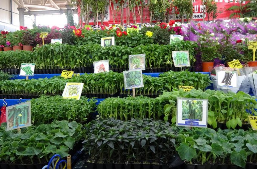  Tüketici artık kendi üretmeyi tercih ediyor