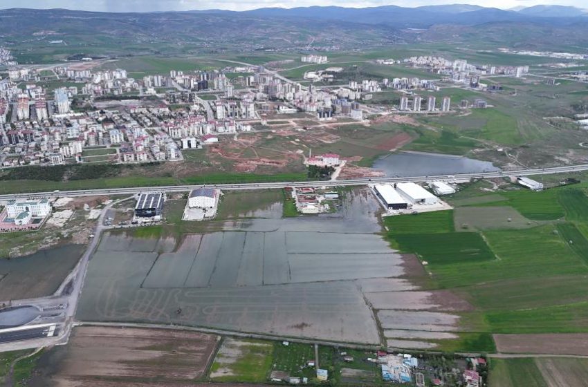  Bali değil Sivas, pirinç değil hububat tarlası