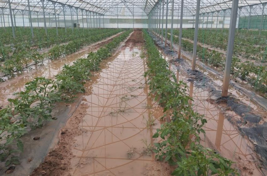  Sivas’ta dere taştı: Sera ve bahçeler sular altında kaldı