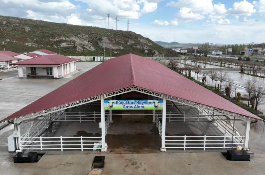  Sivas’ta kurban pazarı için takvim netleşti