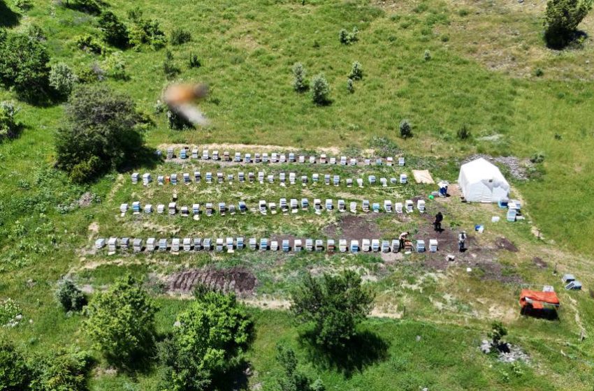  Sivas’ta bu yıl bal üretiminde rekor bekleniyor