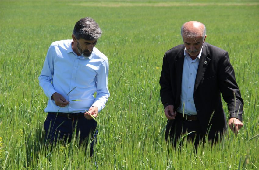  Üreticilerden Fiyat Revizyonu Talebi
